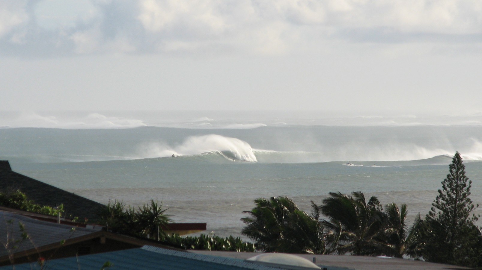seedicksurf.com - Maui Surf Report and Photos