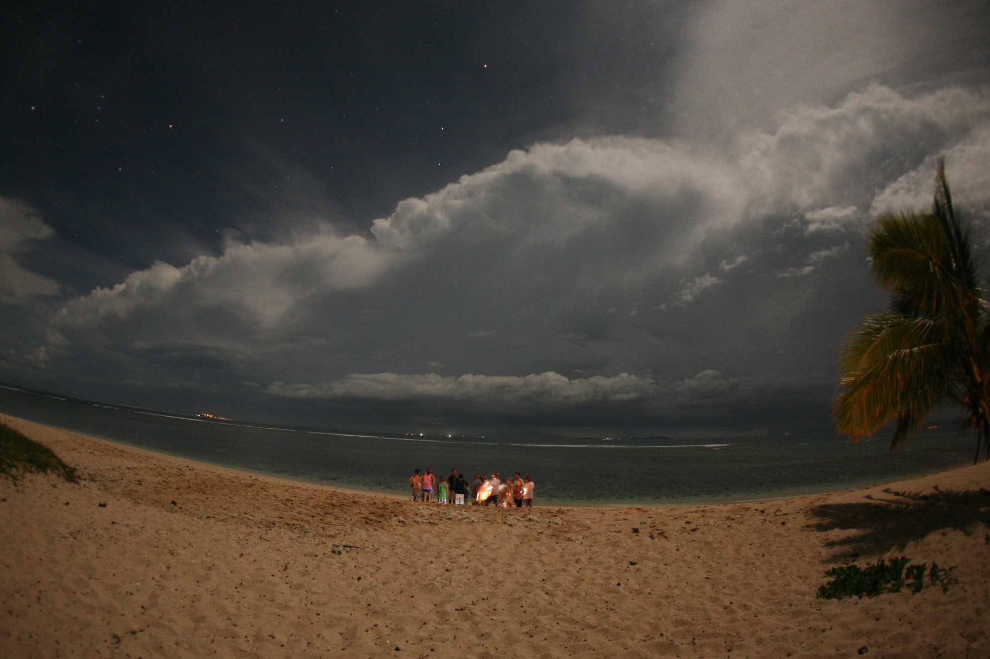 seedicksurf.com - Maui Surf Report and Photos