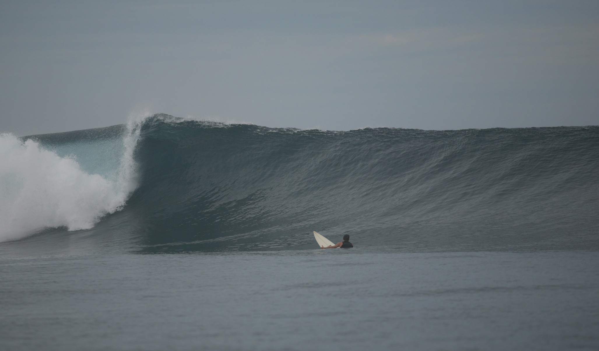 seedicksurf.com - Maui Daily Surf shots and the Maui surf report!!