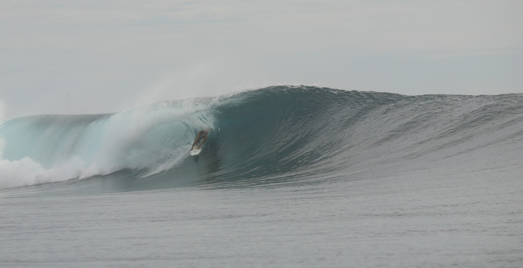 seedicksurf.com - Maui Daily Surf shots and the Maui surf report!!