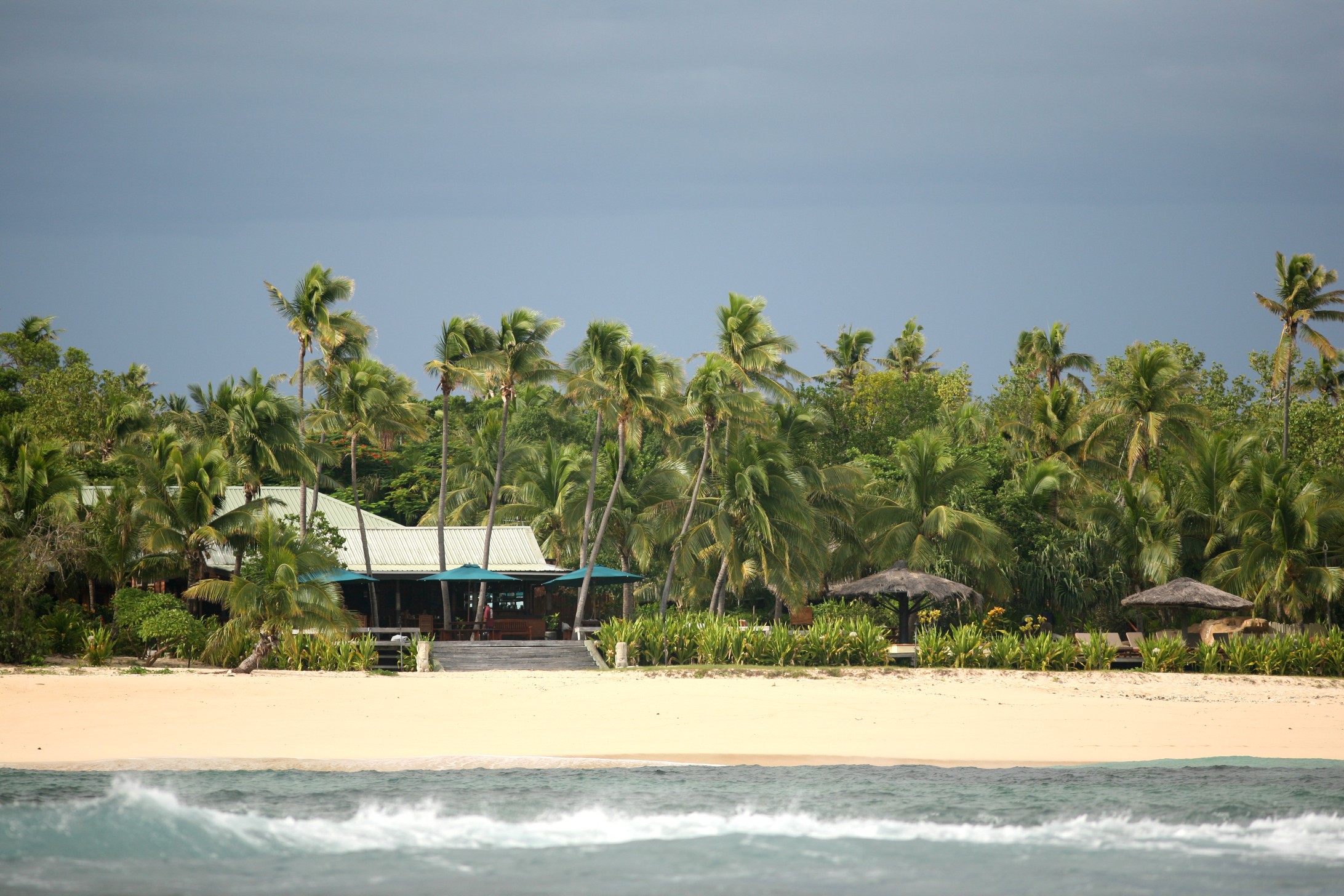 seedicksurf.com - Maui Daily Surf shots and the Maui surf report!!