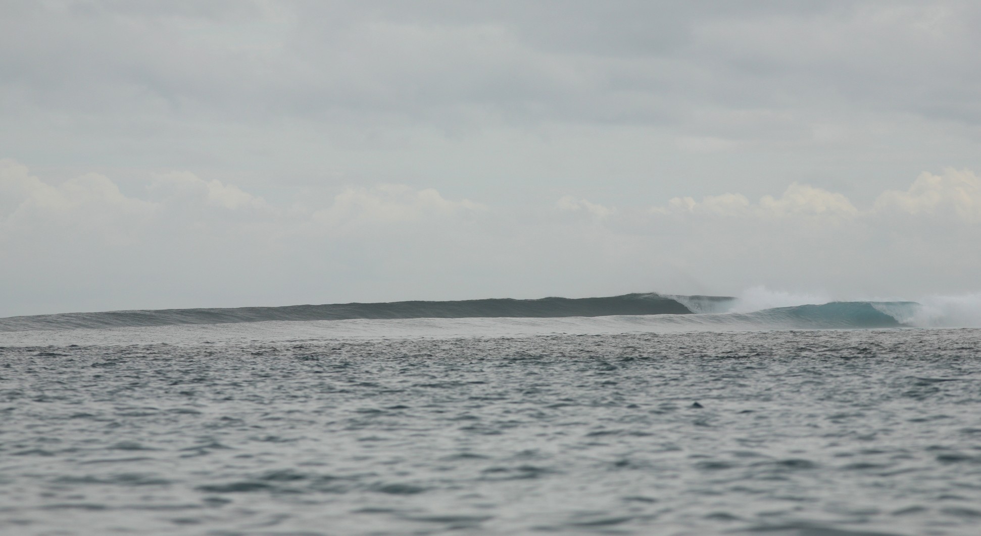 seedicksurf.com - Maui Daily Surf shots and the Maui surf report!!