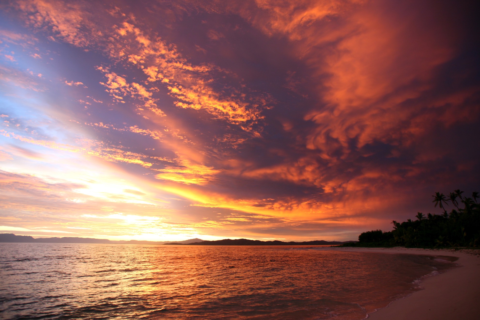 seedicksurf.com - Maui Surf Report and Photos